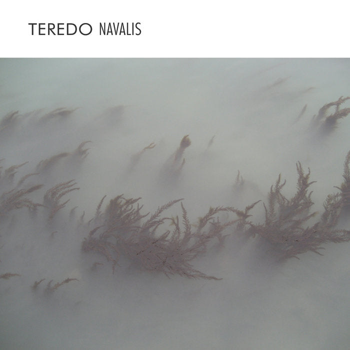 Enrico Coniglio - TEREDO NAVALIS (CD)