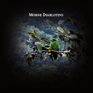 Rodolphe Alexis - Morne Diablotins (CD)