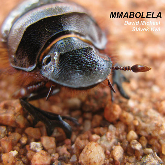 Slávek Kwi & David Michael - Mmabolela (2CD)