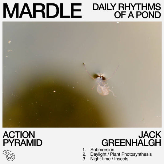 Action Pyramid & Jack Greenhalgh- Mardle: Daily Rhythms of a Pond (CD&Poster)
