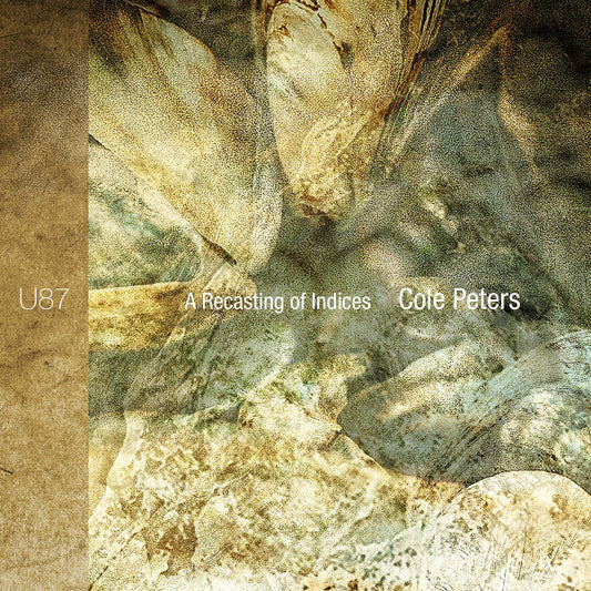 Cole Peters - A Recasting of Indices (CD)