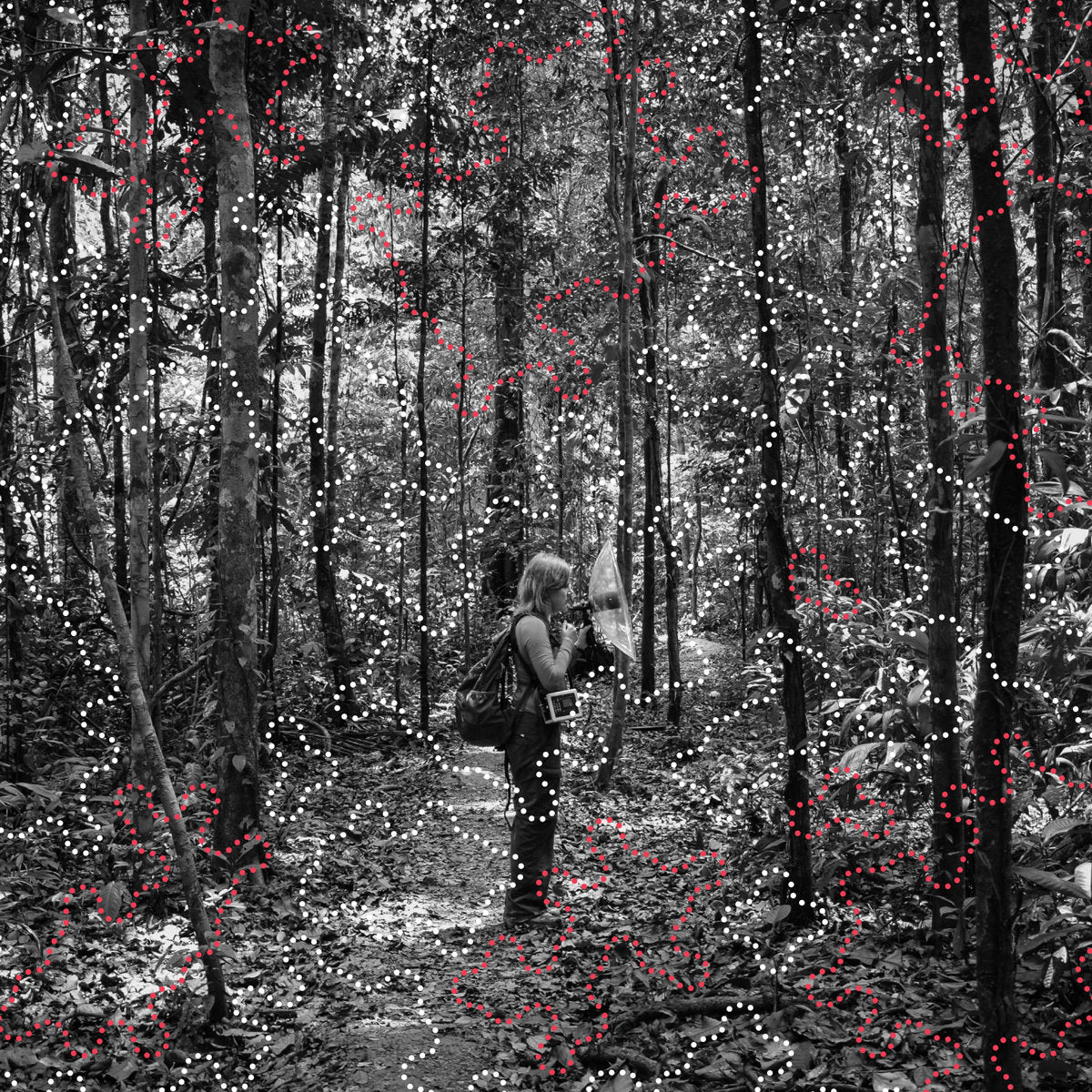 Izabela Dłużyk- The Amazon—where the moon wept (2CD)