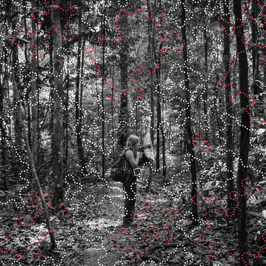 Izabela Dłużyk- The Amazon—where the moon wept (2CD)